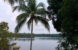Jalan Sebana Cove, Pengerang, Johor 81600