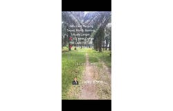 Banting, Selangor 42700