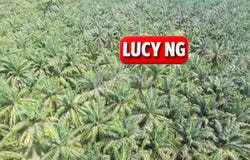 Larut Matang, Perak 34100