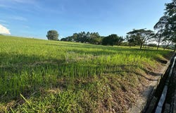 Gelang Patah, Johor 81550
