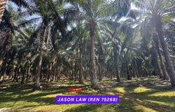 Bedong, Kedah 08100