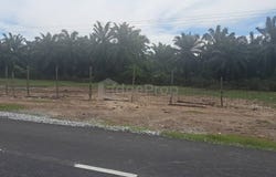 Banting, Selangor 42700