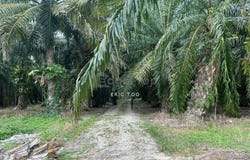 Sitiawan, Perak 32000