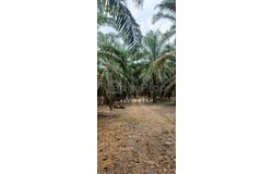 Tanjung Malim, Perak 35900
