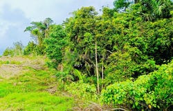 Bentong, Pahang