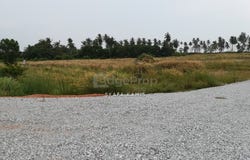 Johor, Kota Tinggi, Johor 81620