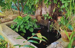 Bertam, Penang 13200