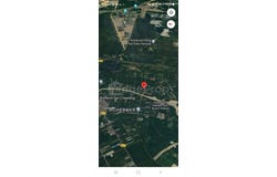 Banting, Selangor 42700
