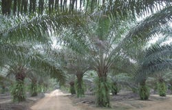 Tasek Gelugor, Penang 13000