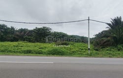 Kota Tinggi, Johor 81900