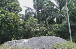 Banting, Selangor 42700