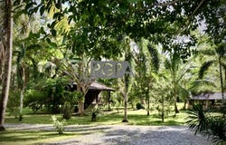Langkawi, Kedah 7000