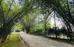 NO 224, JALAN PADANG GAONG, TAMAN LANGKAWI, Langkawi, Kedah