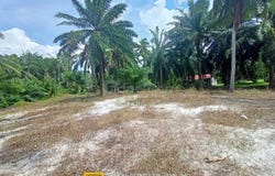 Manjung, Perak 0
