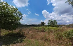 Iskandar Puteri (Nusajaya), Johor 79250