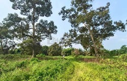 Pontian, Pontian, Johor 82000