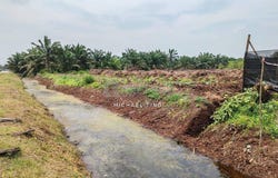 Pontian, Johor 81500