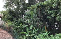 Petaling Jaya, Selangor 46000