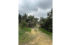 Johor Bahru, Johor 81700