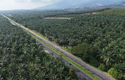 Kuala Muda, Kedah 08000