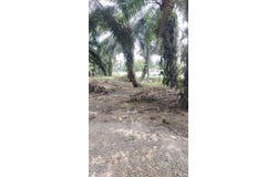 Jenjarom, Selangor 42600
