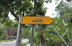 Off Jalan Kenanga, Taman Flora Heights, 81700, Johor, Pasir Gudang, Johor 81700