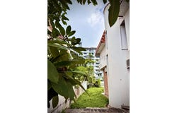 Halaman Pulau Tikus, Georgetown, Penang 10250