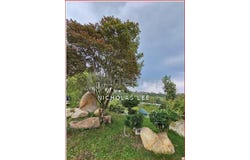 Hulu Langat, Selangor 43100