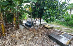 Kampung Tawas, Ipoh, Kinta, Perak