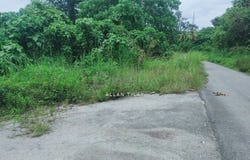Hulu Selangor, Selangor 44000
