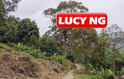 Lintang Sungai Batu, Teluk Kumbar, Penang 11950