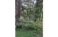 Tapah, Perak 35350