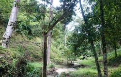 B, Hulu Langat, Selangor 43100