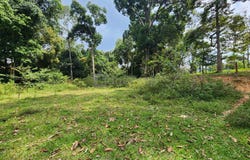 Bentong, Pahang 28750