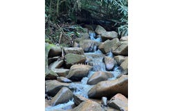 Jalan Kampung, Bentong, Pahang 28750