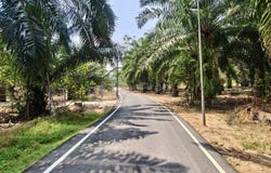 Kukup, Pontian, Johor 82300