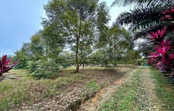 Kulai, Johor 81000