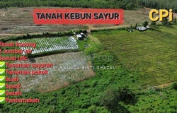 Kuala Muda, Kedah