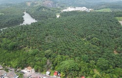 Kulai, Johor 81000