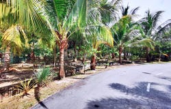 Bangi, Selangor 43650