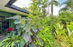 Seri Kembangan, Selangor 43300