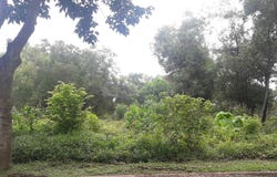 Jalan Menara, Bukit Jelutong, Selangor 0