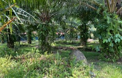 Selangor, Sepang, Selangor 43800