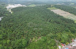 Kulai, Johor 81000