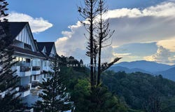 Jalan Lady Maxwell, 49000, Pahang, Raub, Pahang 49000