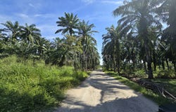 Kuala Selangor, Selangor 45600