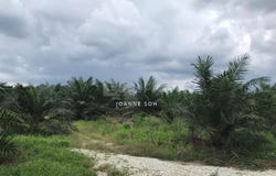 Kuala Langat, Selangor 41200