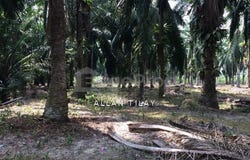 Manjung, Perak 32000