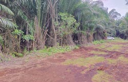 Telok Panglima Garang, Selangor 42500