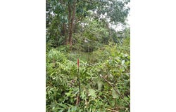 Bentong, Pahang 28750